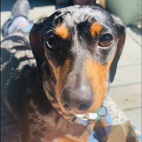 Hi! Follow me & share! I follow & share back! - Picture 2 of 6